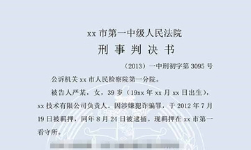 严某等诈骗罪一审