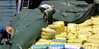 走私犯罪案件具体包括哪些罪名？