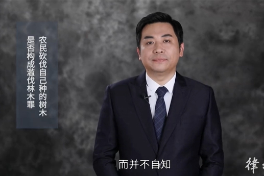 农民砍掉自己种的杨树，是否构成滥伐林木罪？