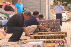 非法狩猎属于什么犯罪？