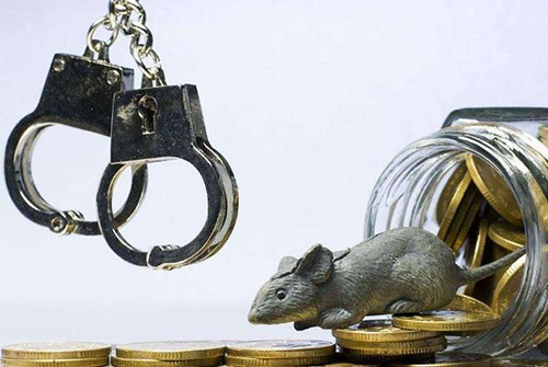 什么是经济犯罪？(图1)