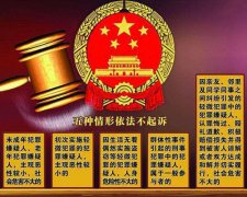 什么类型案件可以不起诉？