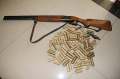 私藏枪支一支判几年？