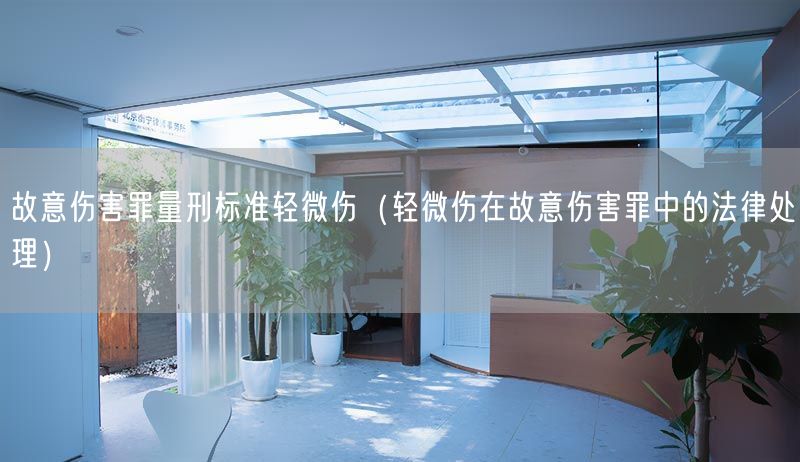 故意伤害罪量刑标准轻微伤（轻微伤在故意伤